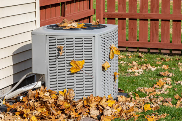 Best HVAC air duct cleaning  in Jamaica Beach, TX